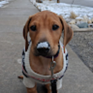 Meet your Posher, Michael